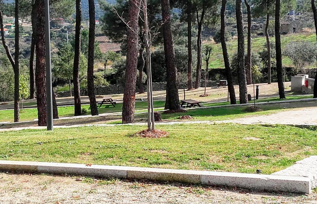 מירנדה דו דורו Douro Camping מראה חיצוני תמונה